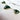1940s Nephrite Heart & Baroque Pearl Necklace