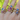 Chain Rings