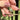 Antique T-Bar | Minty-Peach Tourmaline | 9ct Yellow