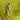 Antique Dog Clasp | Gray Pear Sapphire | 9ct Yellow