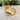 Heart Signet Ring with Sapphire