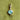 New Swivel Dog Clasp | Opalescent Zircon Heart | 9ct Yellow