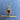 Antique Swivel T-Bar | Peach Zircon | 15ct yellow