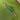 Tourmaline Extender